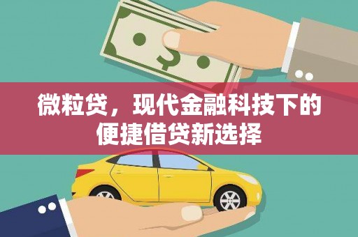 洪雅微粒贷，现代金融科技下的便捷借贷新选择
