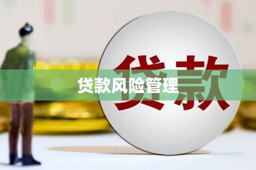 洪雅贷款风险管理