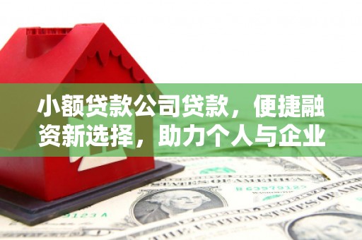 洪雅小额贷款公司贷款，便捷融资新选择，助力个人与企业成长