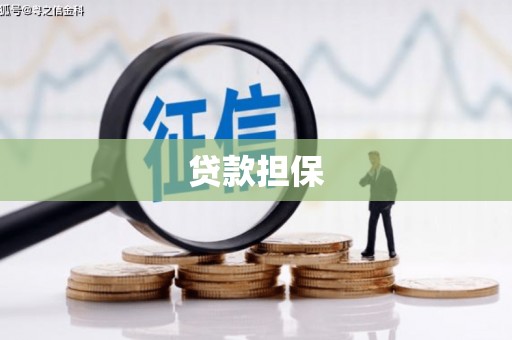 洪雅贷款担保