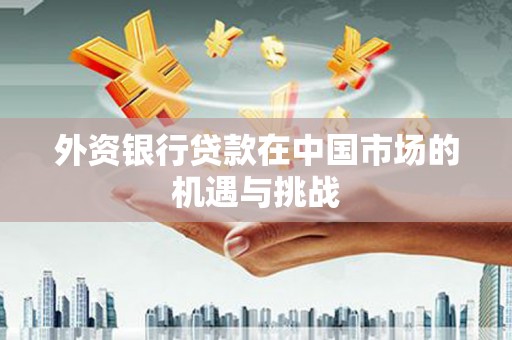 洪雅外资银行贷款在中国市场的机遇与挑战