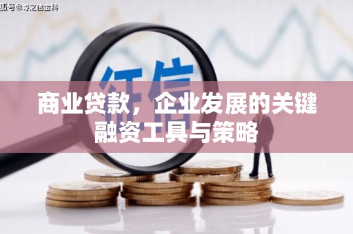 洪雅商业贷款，企业发展的关键融资工具与策略