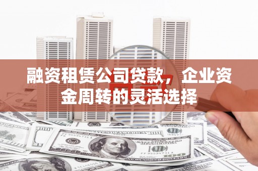 洪雅融资租赁公司贷款，企业资金周转的灵活选择