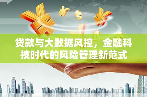 洪雅贷款与大数据风控，金融科技时代的风险管理新范式