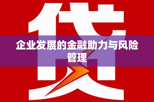 洪雅企业发展的金融助力与风险管理