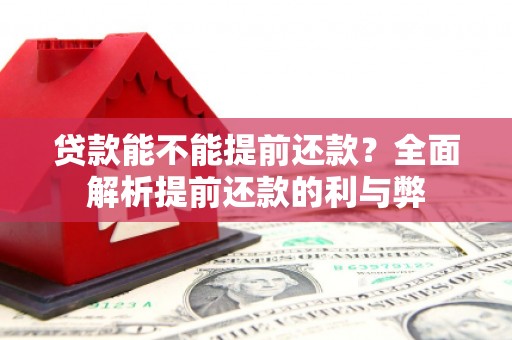 洪雅贷款能不能提前还款？全面解析提前还款的利与弊