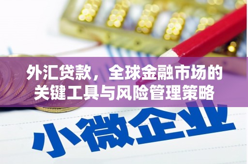 洪雅外汇贷款，全球金融市场的关键工具与风险管理策略