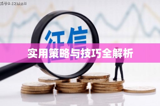 洪雅实用策略与技巧全解析