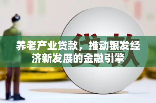 洪雅养老产业贷款，推动银发经济新发展的金融引擎