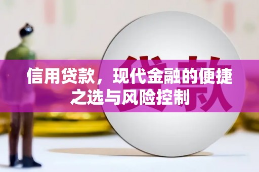 洪雅信用贷款，现代金融的便捷之选与风险控制