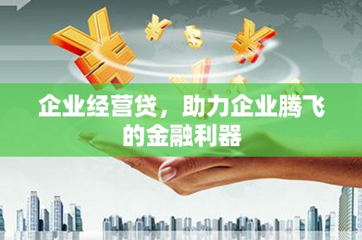 洪雅企业经营贷，助力企业腾飞的金融利器