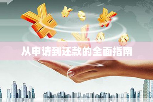 洪雅从申请到还款的全面指南