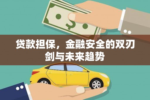 洪雅贷款担保，金融安全的双刃剑与未来趋势