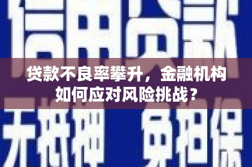 洪雅贷款不良率攀升，金融机构如何应对风险挑战？