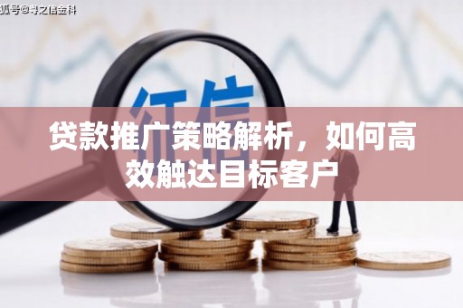 洪雅贷款推广策略解析，如何高效触达目标客户