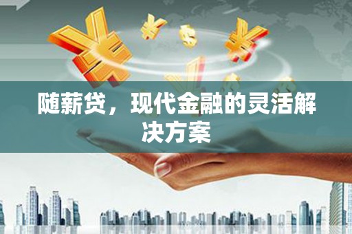 洪雅随薪贷，现代金融的灵活解决方案