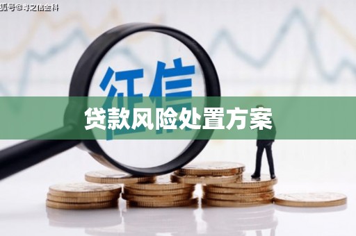 洪雅贷款风险处置方案
