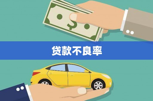 洪雅贷款不良率
