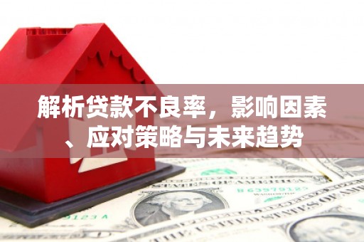 洪雅解析贷款不良率，影响因素、应对策略与未来趋势