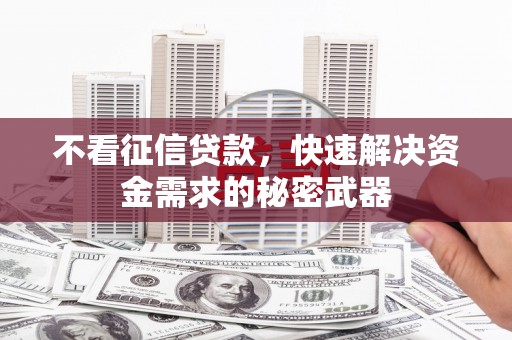 洪雅不看征信贷款，快速解决资金需求的秘密武器