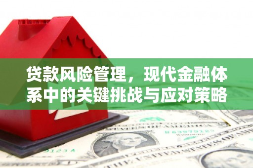 洪雅贷款风险管理，现代金融体系中的关键挑战与应对策略