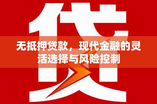 洪雅无抵押贷款，现代金融的灵活选择与风险控制