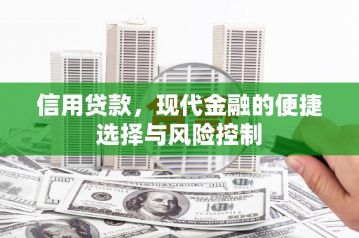 洪雅信用贷款，现代金融的便捷选择与风险控制