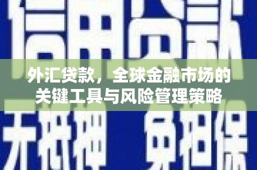 洪雅外汇贷款，全球金融市场的关键工具与风险管理策略