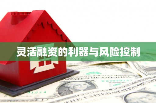 洪雅灵活融资的利器与风险控制