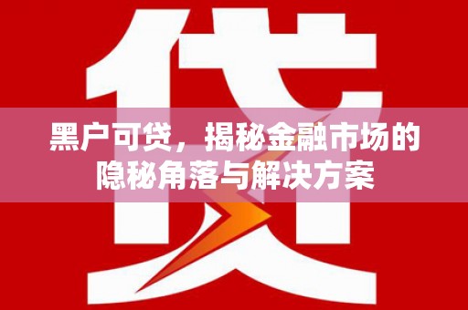 洪雅黑户可贷，揭秘金融市场的隐秘角落与解决方案