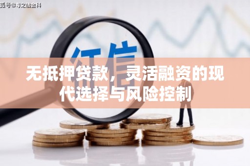 洪雅无抵押贷款，灵活融资的现代选择与风险控制
