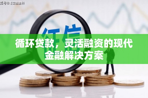 洪雅循环贷款，灵活融资的现代金融解决方案