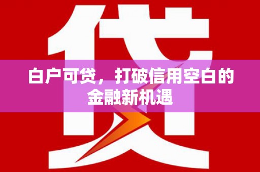 洪雅白户可贷，打破信用空白的金融新机遇