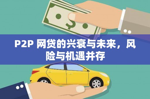 洪雅P2P 网贷的兴衰与未来，风险与机遇并存