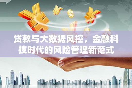洪雅贷款与大数据风控，金融科技时代的风险管理新范式
