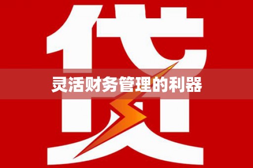 洪雅灵活财务管理的利器