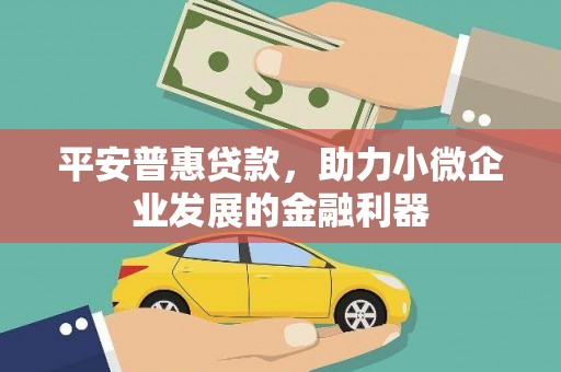 洪雅平安普惠贷款，助力小微企业发展的金融利器