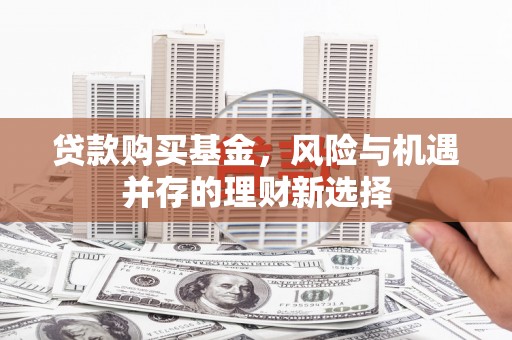 洪雅贷款购买基金，风险与机遇并存的理财新选择