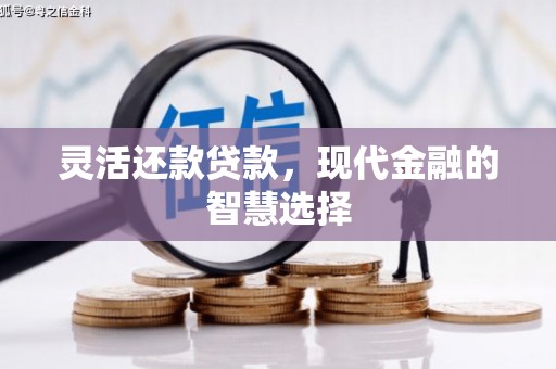 洪雅灵活还款贷款，现代金融的智慧选择