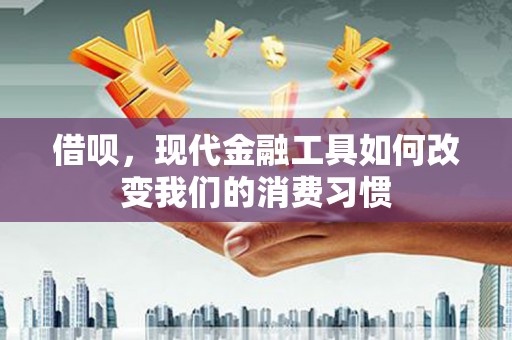 洪雅借呗，现代金融工具如何改变我们的消费习惯