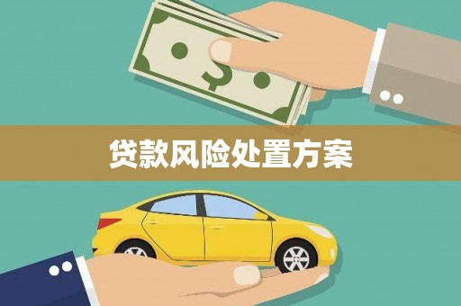 洪雅贷款风险处置方案