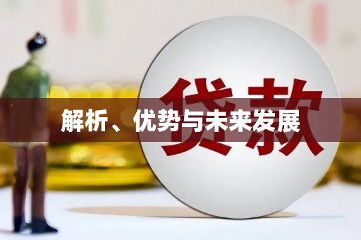 洪雅解析、优势与未来发展