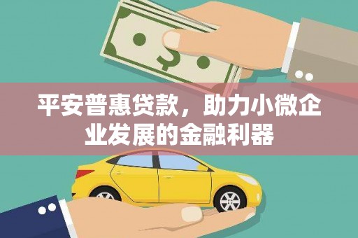 洪雅平安普惠贷款，助力小微企业发展的金融利器