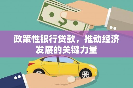 洪雅政策性银行贷款，推动经济发展的关键力量