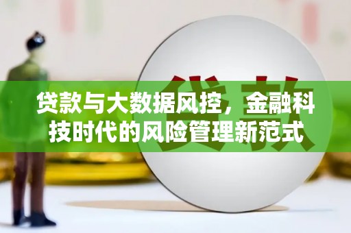 洪雅贷款与大数据风控，金融科技时代的风险管理新范式
