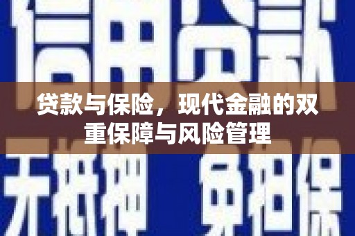 洪雅贷款与保险，现代金融的双重保障与风险管理