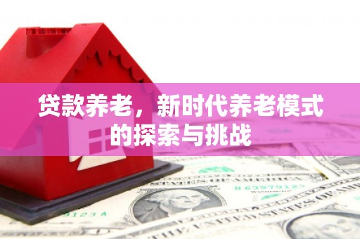 洪雅贷款养老，新时代养老模式的探索与挑战
