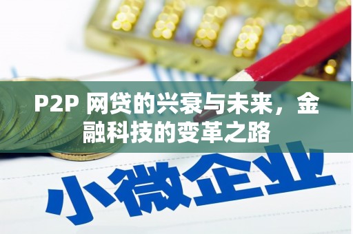 洪雅P2P 网贷的兴衰与未来，金融科技的变革之路