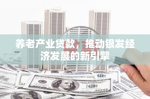 洪雅养老产业贷款，推动银发经济发展的新引擎