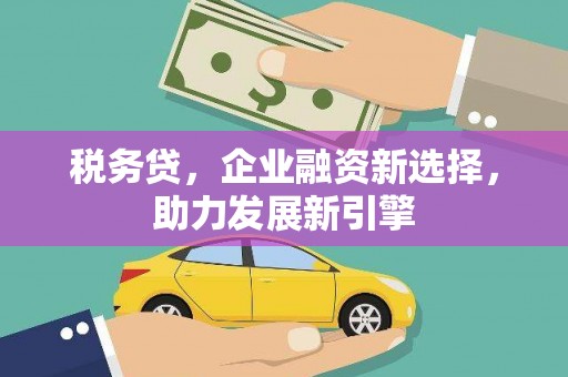 洪雅税务贷，企业融资新选择，助力发展新引擎